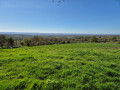 Wilmot Hill