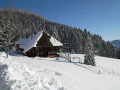 Winterwanderweg vom Wiedener Eck nach Multen (Nr. 3)