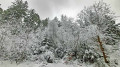 Winterlandschaft bei Pfaben