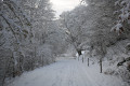 Winterwanderweg am Haselberg