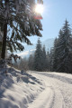 Winterwanderweg in der Schwarzwaldregion Belchen
