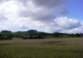 Wittenham Clumps