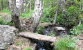 Font Viva lake Font Viva lake