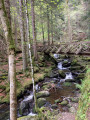 Wooden footbridge