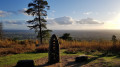 Wooden Sculpture next to Leith Hill Tower