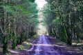 Craufurdland Countryside Walk (Field Path)