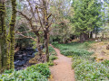 Aros Park Waterfalls & Lochan Trail, Isle of Mull