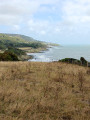 Woody Point