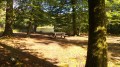 Clairière pour pause