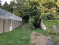 Début de la Montée