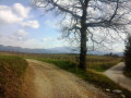 Le Plateau de Venterol Le Plateau de Venterol