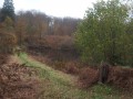 Etang du Cul de l'Oie