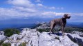 Xor et la crête du Massif...juste derrière le Jouc de l'Aigle.