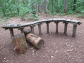 Xylophone sylvestre