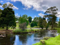 Yarra River walk, Warburton