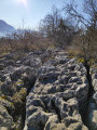 Zone à lapiaz Zone à lapiaz