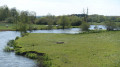 Boucle du courlis et du Canal du Rhône au Rhin