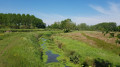 Zones humides Landrecies le long du canal de la Sambre