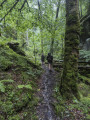 Zur Wolfschlucht