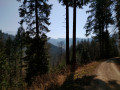 Zwei-Burgen-Pfad Münstertal Staufen