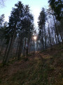 Zwei-Burgen-Pfad Münstertal Staufen