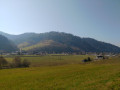 Zwei-Burgen-Pfad Münstertal Staufen Zwei-Burgen-Pfad Münstertal Staufen