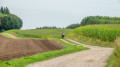 Zwischen den Feldern